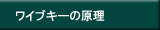 ワイブキーの原理