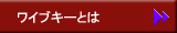 ワイブキーとは
