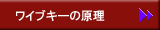 ワイブキーの原理